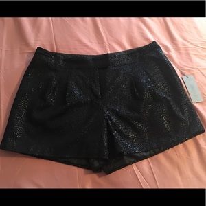 Jennifer Lopez Shorts